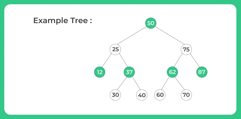 Find the Height of Binary Tree | PrepInsta